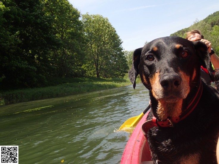 im Wasser glücklicher als im Boot...