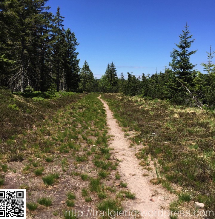 auf dem Weg zum Wildsee