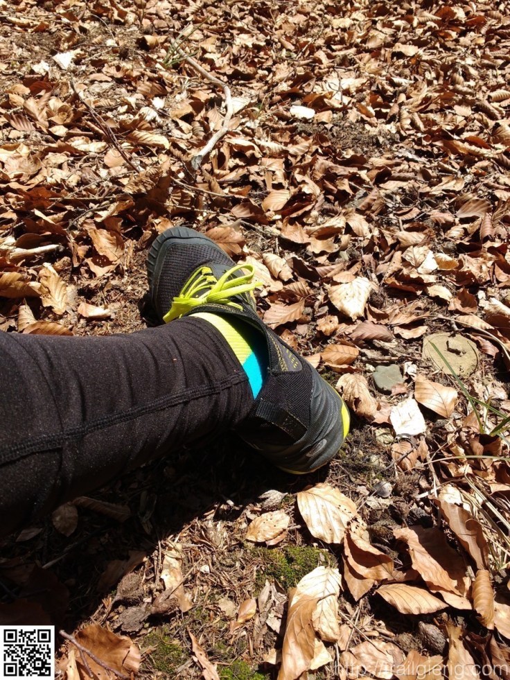 IMG_20160331_130541645