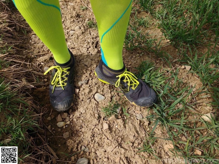 IMG_20160402_143048092