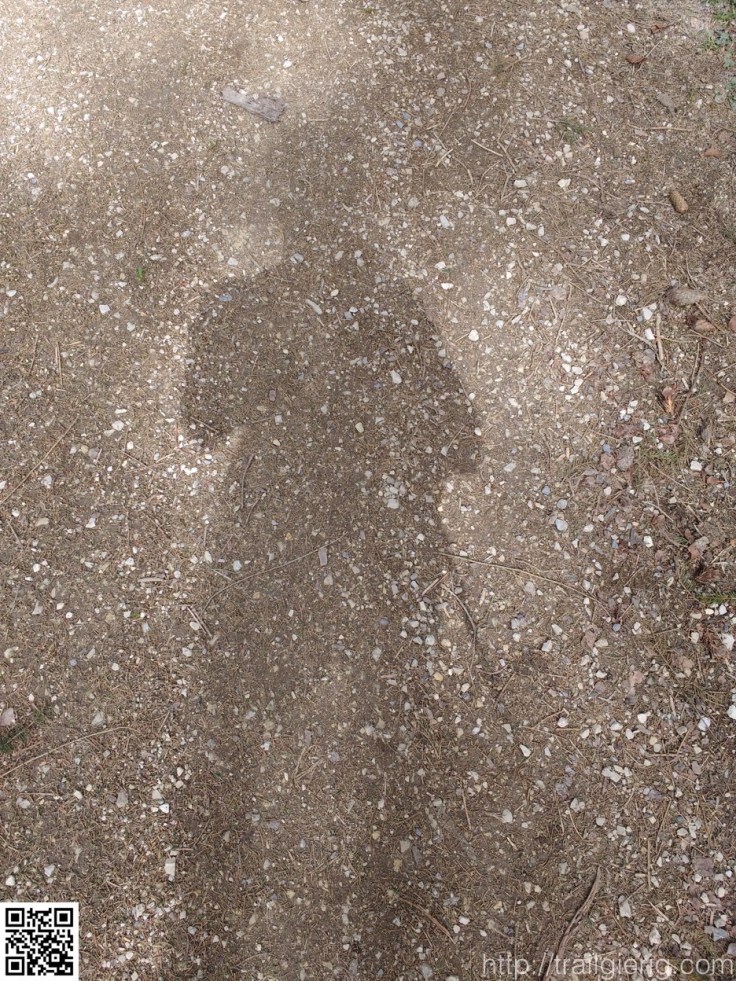 IMG_20160402_144132254