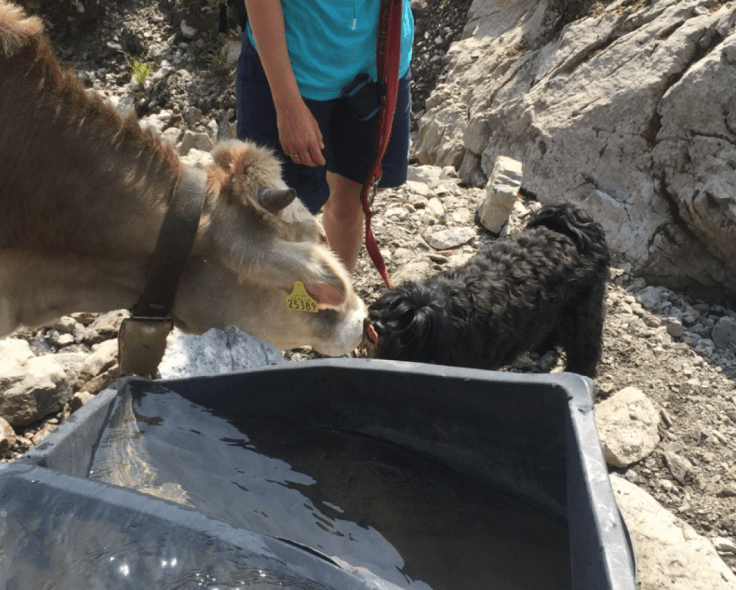 Screenshot 2016-08-08 13.22.50