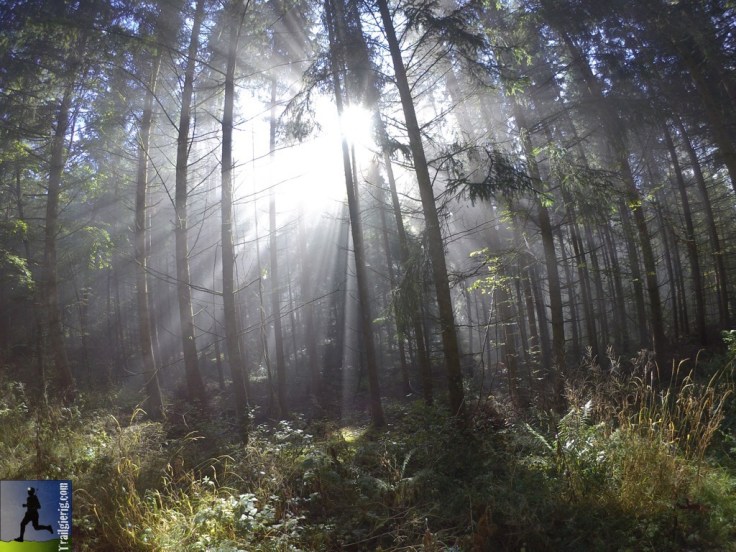 DCIM102_VIRBVIRB0098.