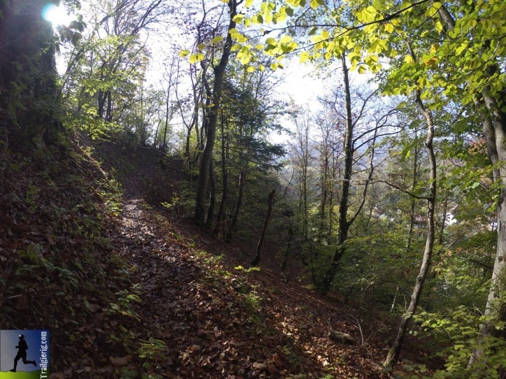 DCIM102_VIRBVIRB0122.