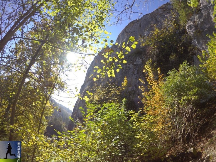 DCIM102_VIRBVIRB0145.