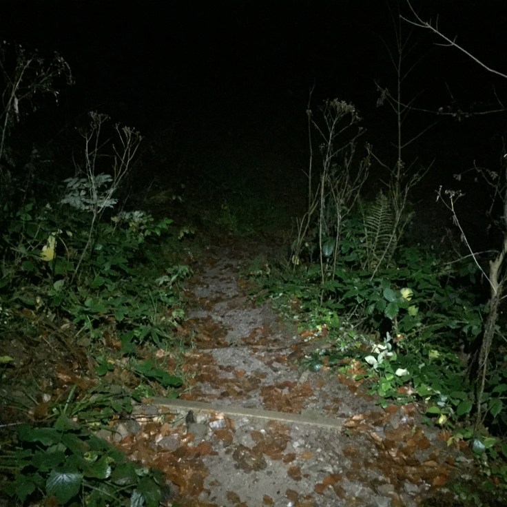 9FAD4618-4BC8-4B1D-934C-01C02A3762EB