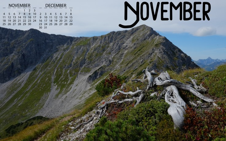 DTOM_November18_2560_Cal